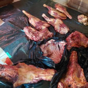 POLICE ARRESTS FOUR SUSPECTS FOR STOCK THEFT RELATED CHARGES AT SEPARATE LOCATIONS IN VHEMBE DISTRICT