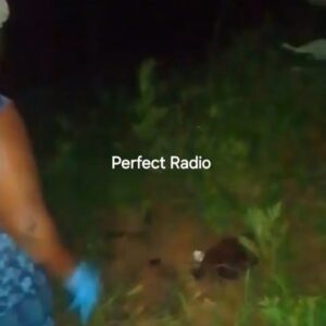 A LIFELESS BODY OF A NEWBORN BABY FOUND ABONDONED IN THE BUSHES AT SHARPVILLE VILLAGE IN MAAKE POLICING AREA