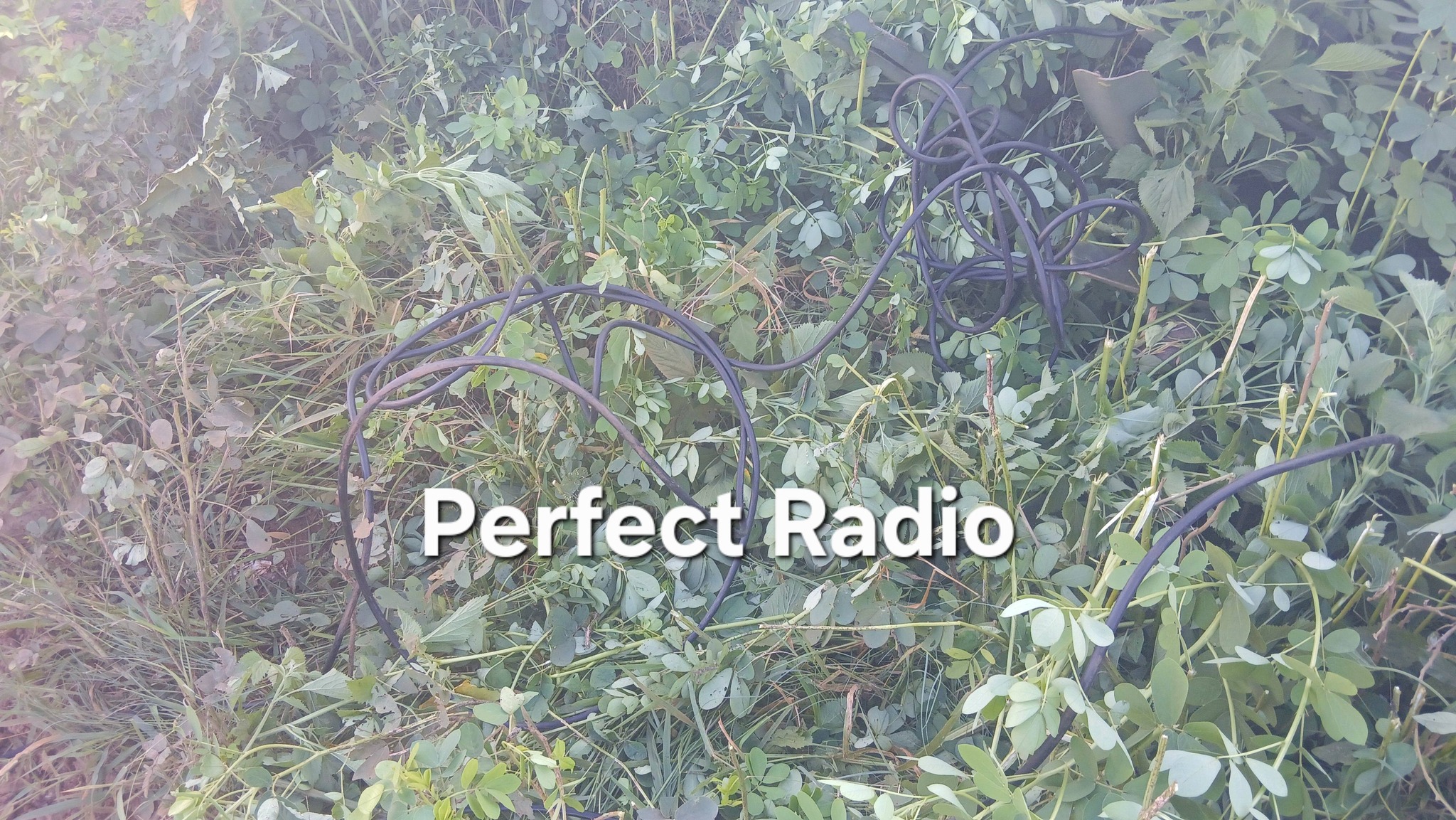 THE COMMUNITY AT SENAKWE VILLAGE DISCOVERED ELECTRIC CABLES THAT WERE ALLEGEDLY STOLEN